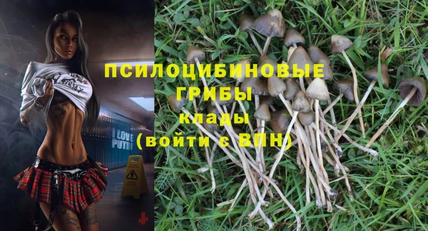 МДПВ Абинск